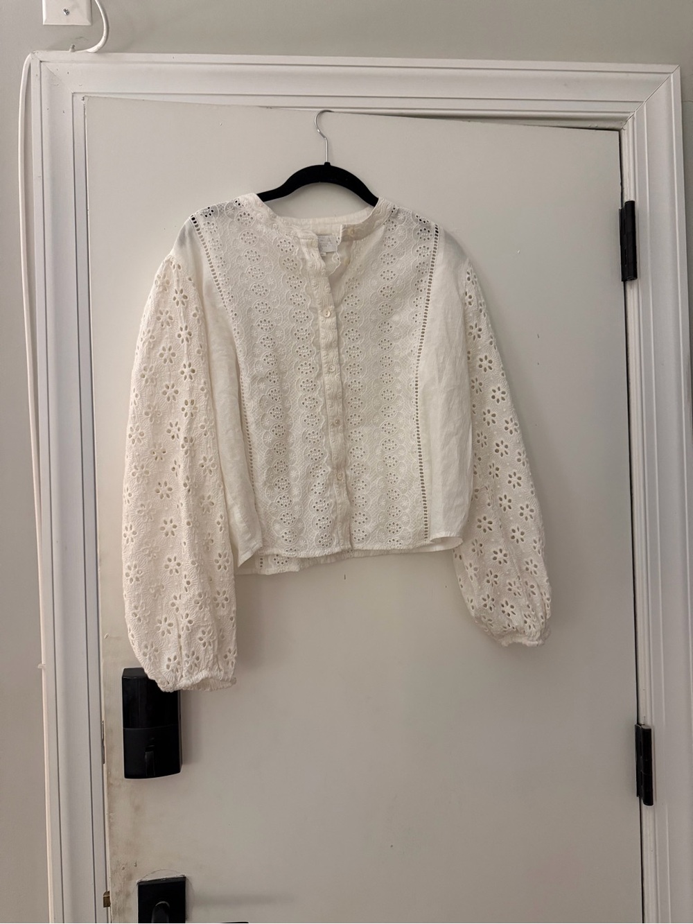 White Eyelet Button-Front Crop Blouse with Balloon Sleeves